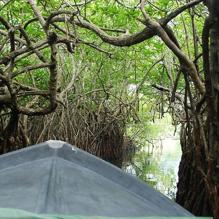 Lagoon Garden Hotel Beruwala Buitenkant foto
