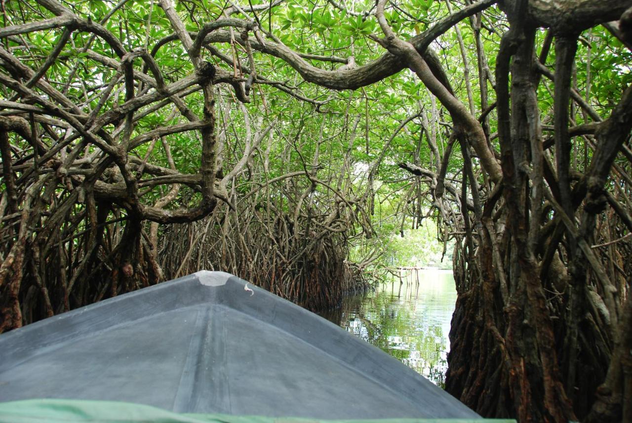 Lagoon Garden Hotel Beruwala Buitenkant foto